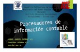 Procesadores deinformación contable - Gabriel Quiñonez