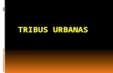 Presentacion tribus urbanas