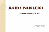 Àcids nucleics models