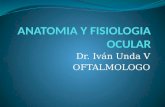 Anatomia y fisiologia ocular  DR IVAN UNDA