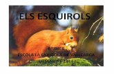 Els esquirols 1