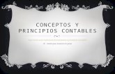 Conceptos y principios_contables