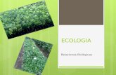 Ecologia: Relaciones interespecificas e intraespecificas