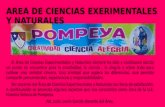 Pompeya area de cc experimentales