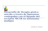 Desarrollo de Terapia Génica Mediante Liposomas conjugados con MC1R