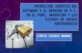 Protección jurídica dPROTECCIÓN JURÍDICA DEL SOFTWARE Y EL DERECHO DE P.I. EN EL PERÙ, ARGENTINA Y LOS ESTADOS DE UNIDOS NORTEAMÉRICAel software y el derecho de