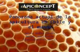 1 panorama actual de la apicultura en Chile y el mundo