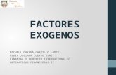 Factores exogenos