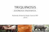 Triquinosis 2015