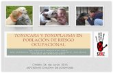 Toxocara y Toxoplasma en Población de Riesgo Ocupacional.