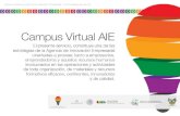 El Campus Virtual de la AIE