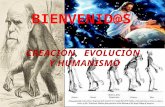 Creacion, evolucion y humanismo
