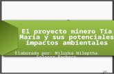 Tía Maria y sus impactos ambientales