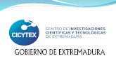 Gestión eficiente de la fertilización. Valme González García. CICYTEX