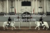 La Equitación - Por Antonio J. castañeda O.
