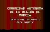 Comunidad autónoma de la región de Murcia (evoluticvos)