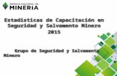 Estadisticas Formación en Seguridad y Salvamento Minero 2015