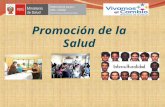 Modelo de abordaje de la promocion de la salud en el perú