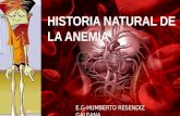 HISTORIA NATURAL DE LA ANEMIA