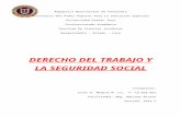 Derecho del trabajo y de la seguridad social tema 7,8,9,10,11,12