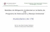Medidas de Mitigación Ambiental en la Bahía de ITE