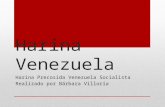 Harina Venezuela para todo el mundo