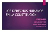 Los Derechos Humanos en la Constitución del Perù