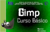 Diseño Instruccional de Taller sobre GIMP