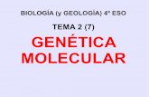 4ºESO: Genetica Molecular