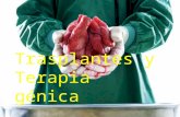 Transplantes y terapia_genica7648
