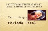 2 3periodofetal-embriologa-120212235055-phpapp01