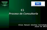Bkc proceso-consultoria-v-2013-07-15 copia
