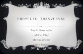 Proyecto Trasversal