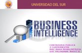 Inteligencia de negocios 1