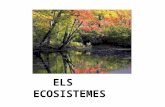Els ecosistemes Carles i Victòria
