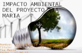 Impacto ambiental del proyecto tia maria (2)