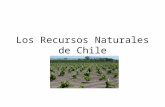 Los recursos naturales de Chile