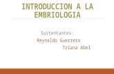 Terminologia embriologica