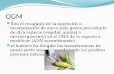 Organismo Geneticamente Mofidicados (OGM)