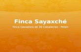 Finca Sayaxché - Petén