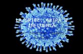 La gripe, gripa o influenza