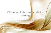 Diabetes: enfermedad de los riñones