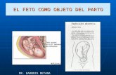 8.el feto como_objeto_de_parto
