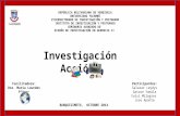 Investigacion accion uny