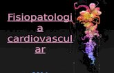 Fisiopatologia cardiovascular