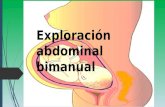 Exploración abdominal bimanual