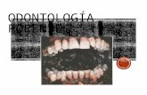 Odontologia 150228140044-conversion-gate01 (1)