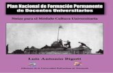 PLAN NACIONAL DE FORMACIÓN PERMANENTE DE DOCENTES UNIVERSITARIOS