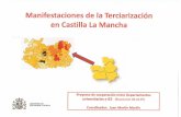 Manifestaciones de la Terciarización en Castilla la Mancha