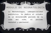 Módulo de neonatología